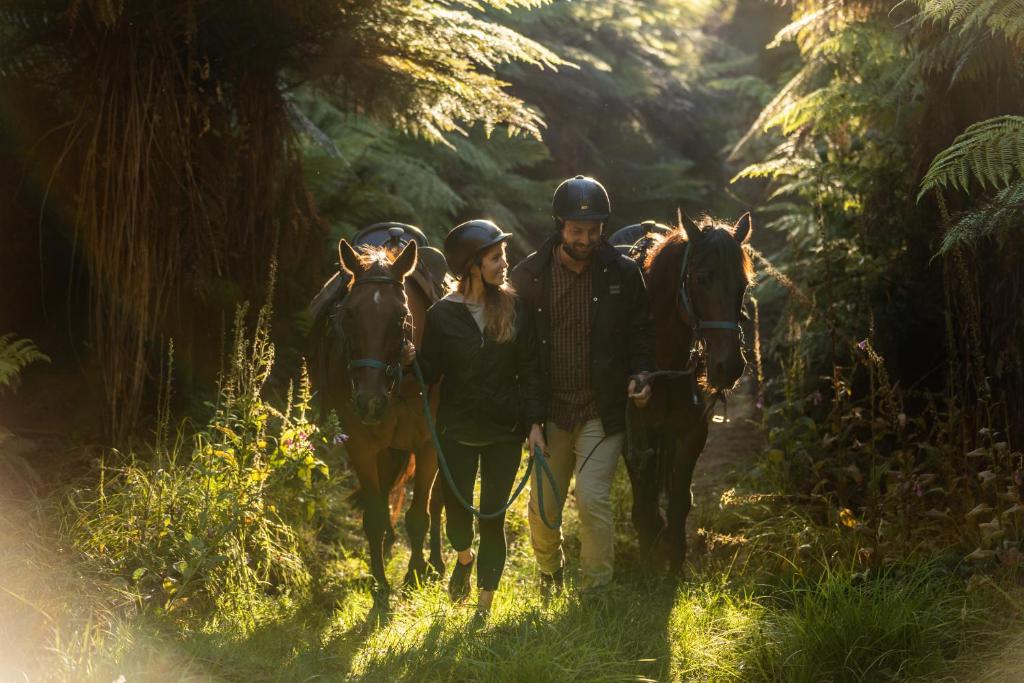 Treetops Lodge & Estate - Resim 34