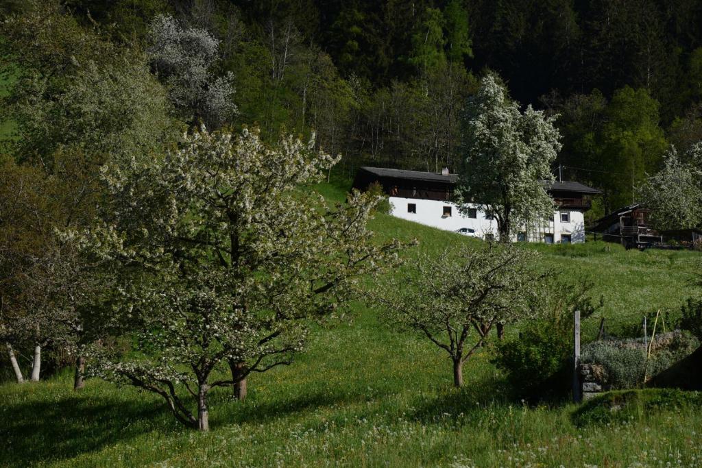 Příroda nedaleko bed and breakfast