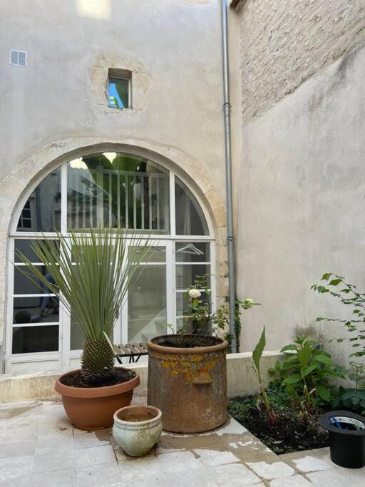 two potted plants sitting in front of a building at L&#39;Oasis urbaine : détente totale in La Rochelle