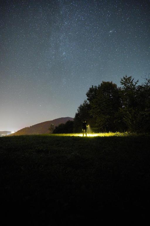 Príroda v okolí horskej chaty