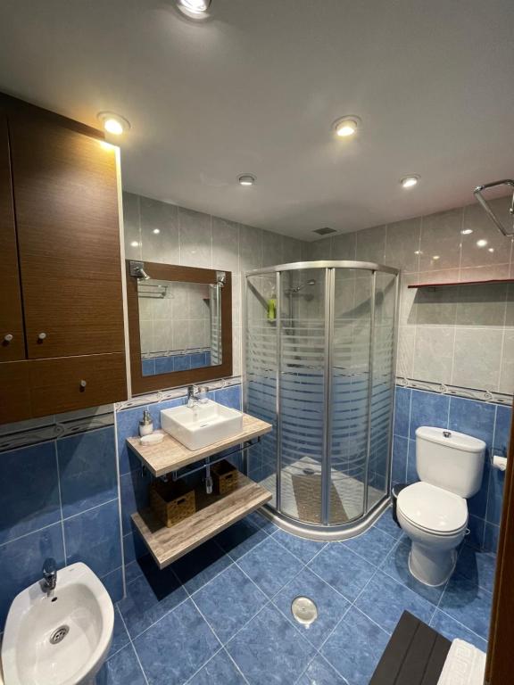 a bathroom with a shower and a toilet and a sink at Apartamento Ronda San Antón in Toro