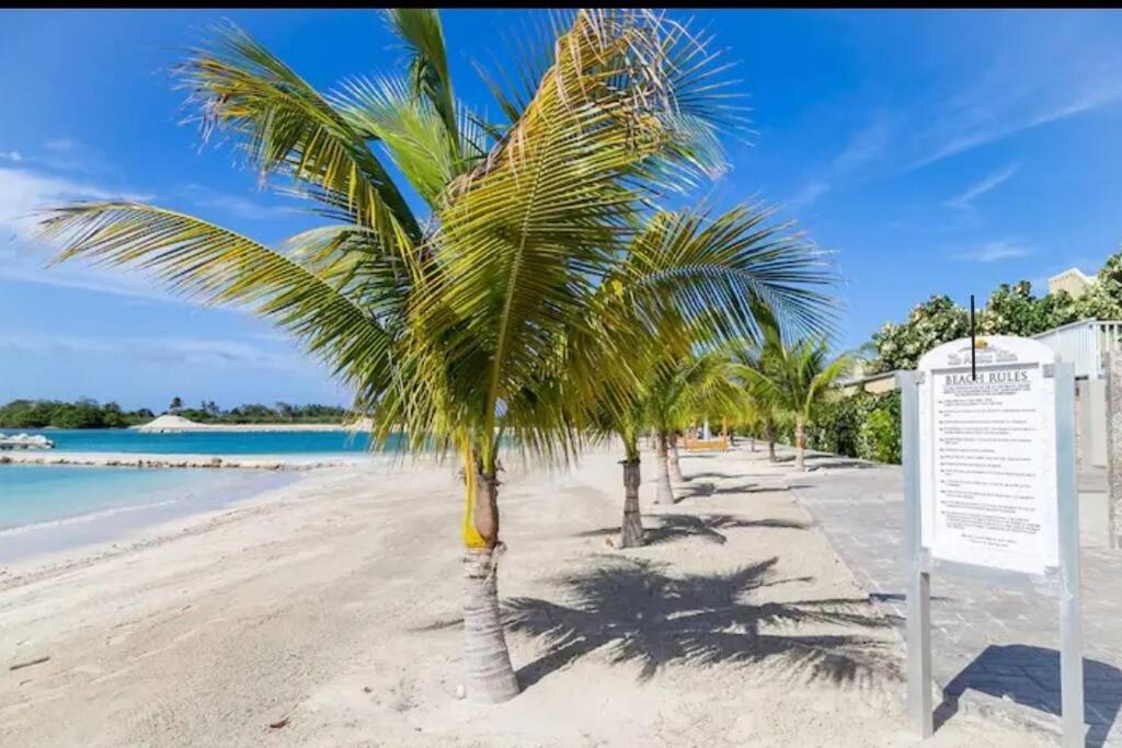 a palm tree on a beach with a sign at serendipity on the beach Ocho Rios in Saint Annʼs Bay