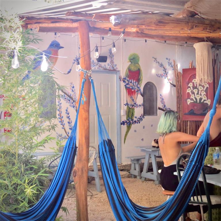 Fotografie z fotogalerie ubytování Cabañitas y Dorms v destinaci Bacalar