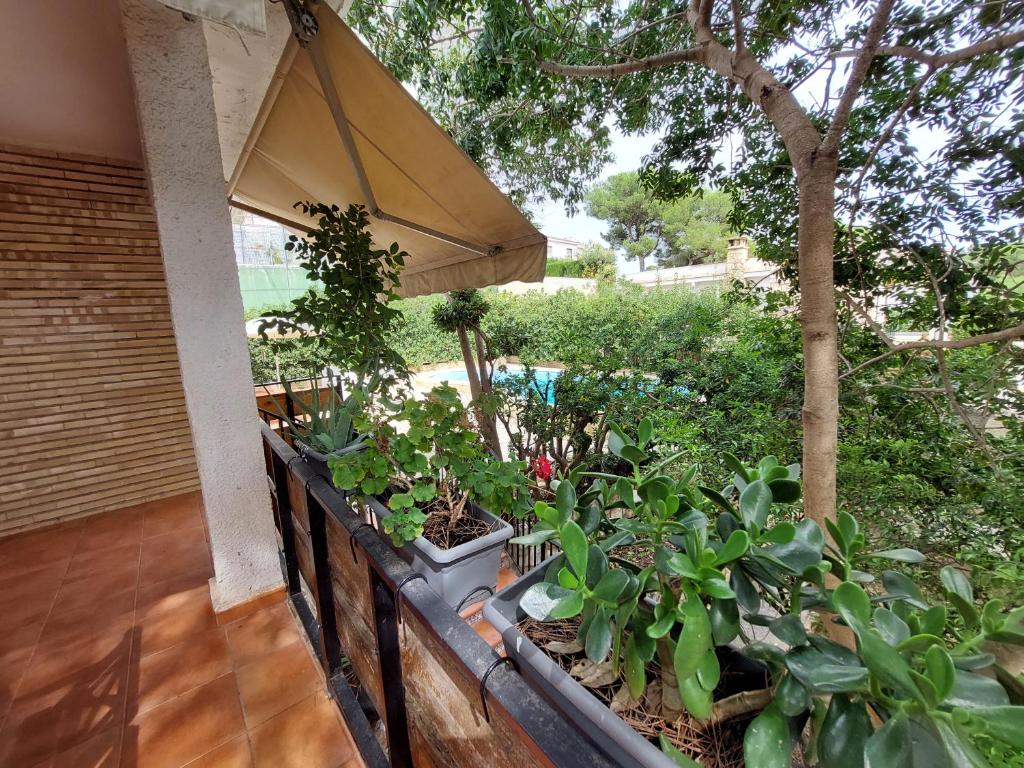 Chalet rústico con piscina y barbacoa, Valencia, Torrent ...
