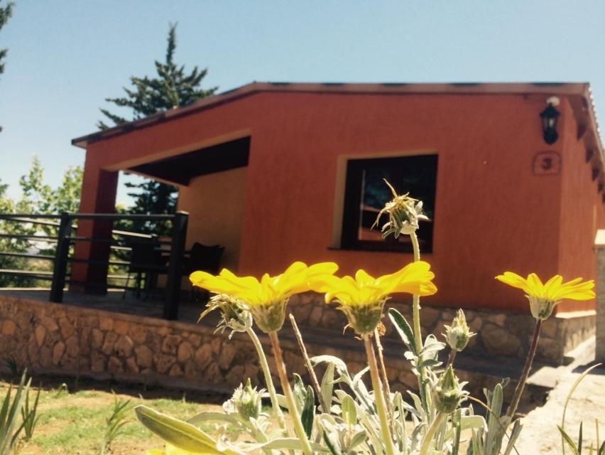 Complejo Turistico El Sur - 18