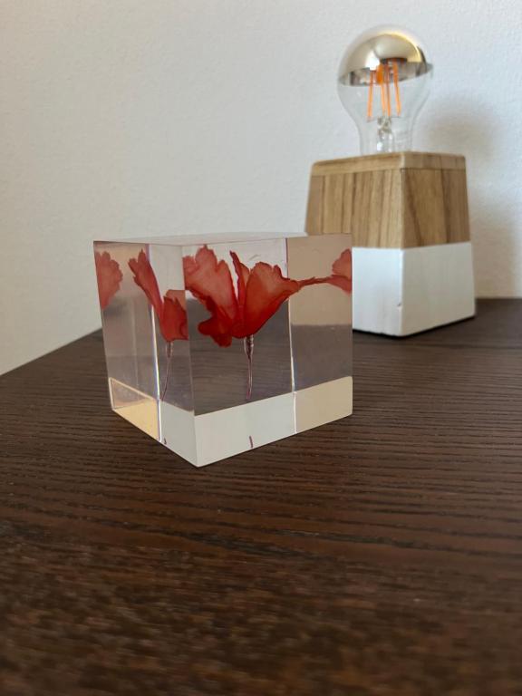 Vila Glória Guesthouse - 11