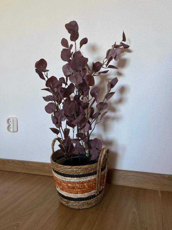 Vila Glória Guesthouse - 12