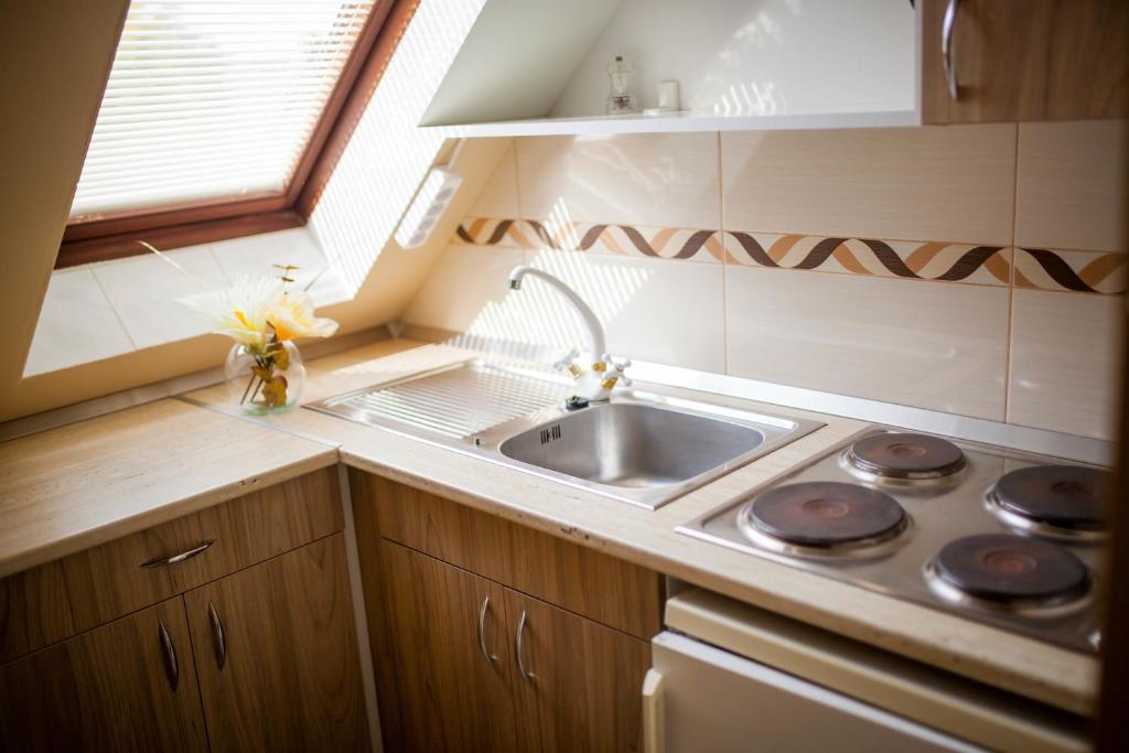 Kuchyňa alebo kuchynka v ubytovaní Rubin Apartman Zalakaros