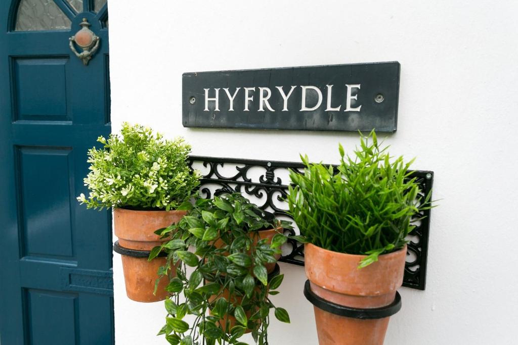 three potted plants on a wall next to a blue door at Hyfrydle in Beaumaris