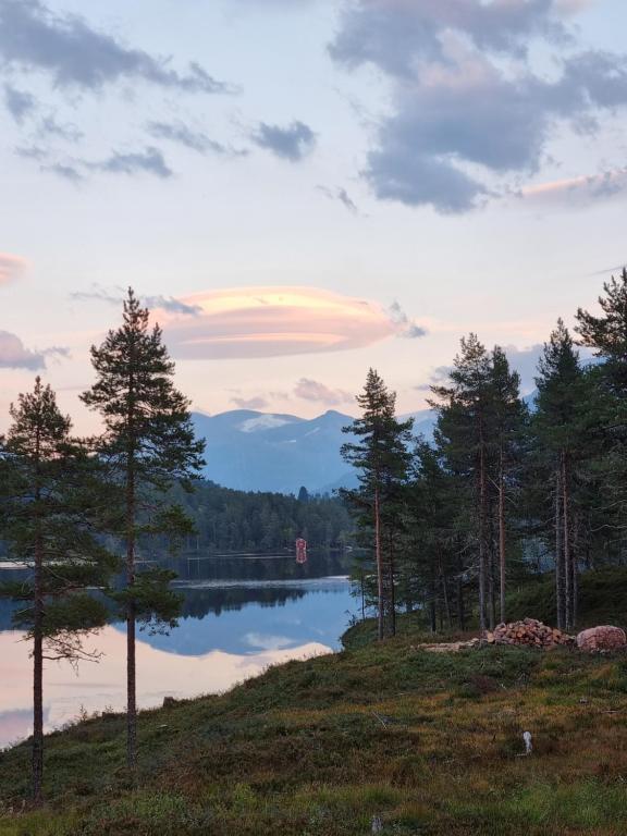 vista su un lago con alberi e montagne di Charming house by a small lake a Stryn