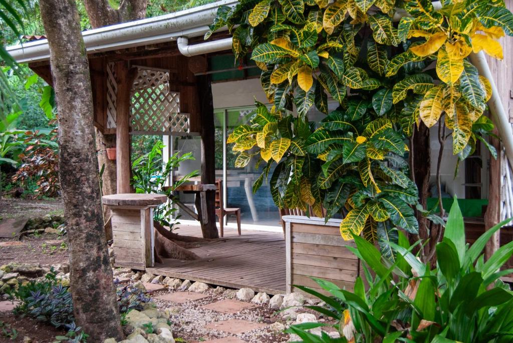 una veranda in legno di una casa con un albero di Casa Sarah a Nosara