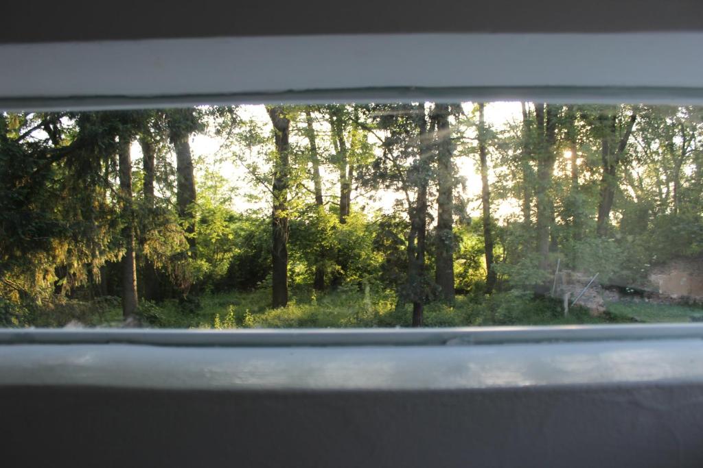 Chateau Třebešice - 15