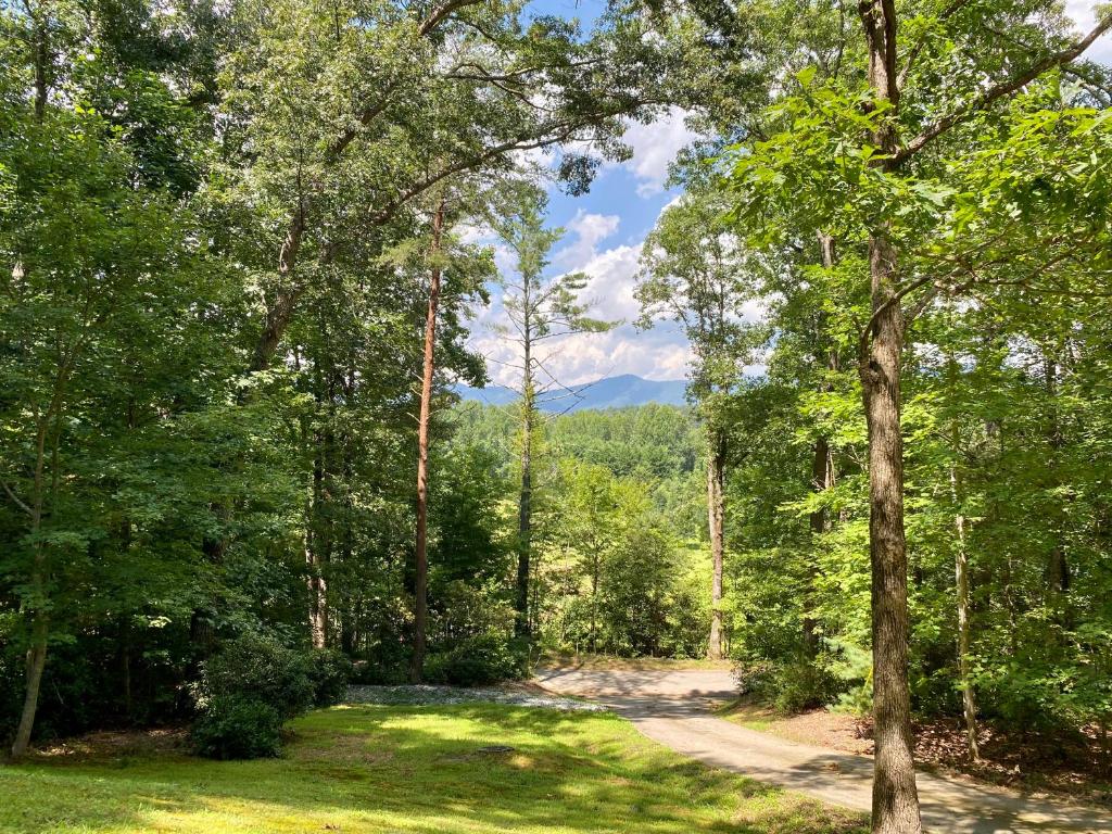 a dirt road through a forest with trees at New Listing! Mountainview Escape in Dahlonega