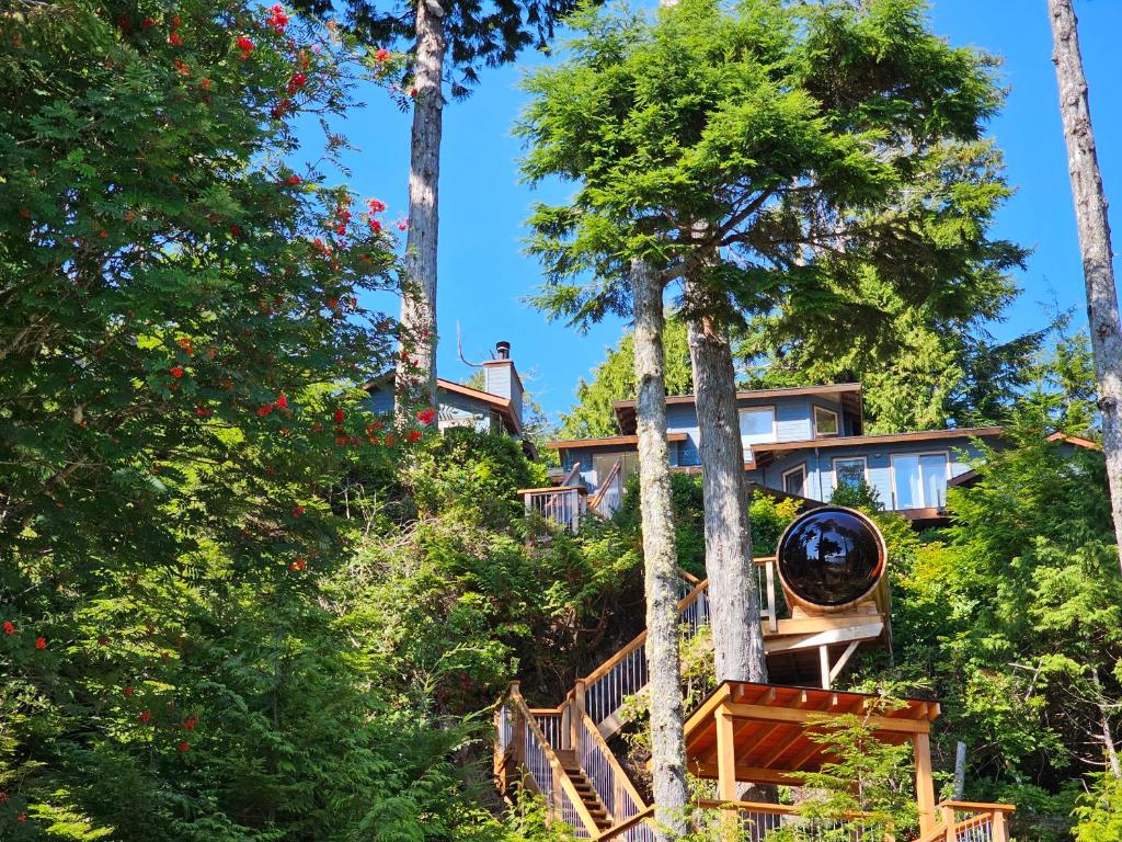 Κήπος έξω από το Snug Harbour Inn