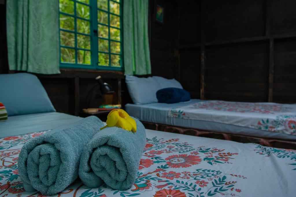 Cecropia Ecolodge - Habitación Cuádruple Con Vista Al Jardín
