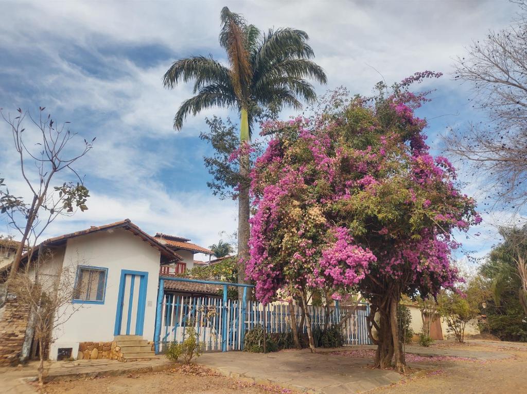 a palm tree in front of a house with flowers at Pousada Batihá - beira rio in Pirenópolis