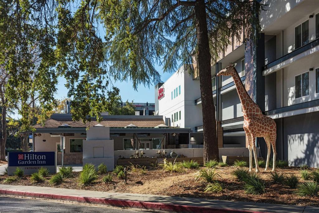 Hilton Garden Inn Davis Downtown photo