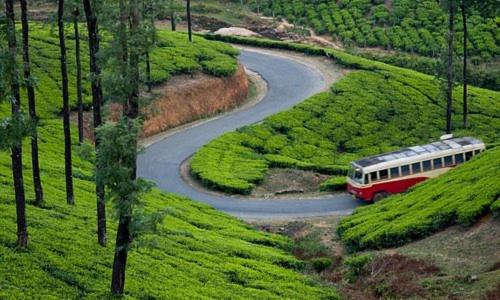 a red and white bus driving down a winding road at Green and Green in Vagamon