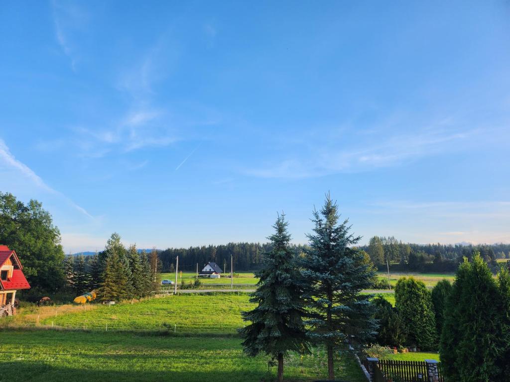 HarklowaApartament u Irenki的绿地,有红谷仓和树木