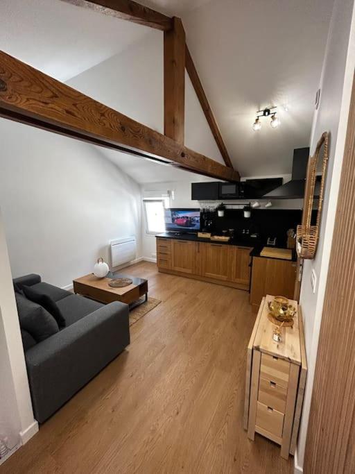 un salon avec un canapé et une table dans l'établissement Studio cosy rémois, à Reims