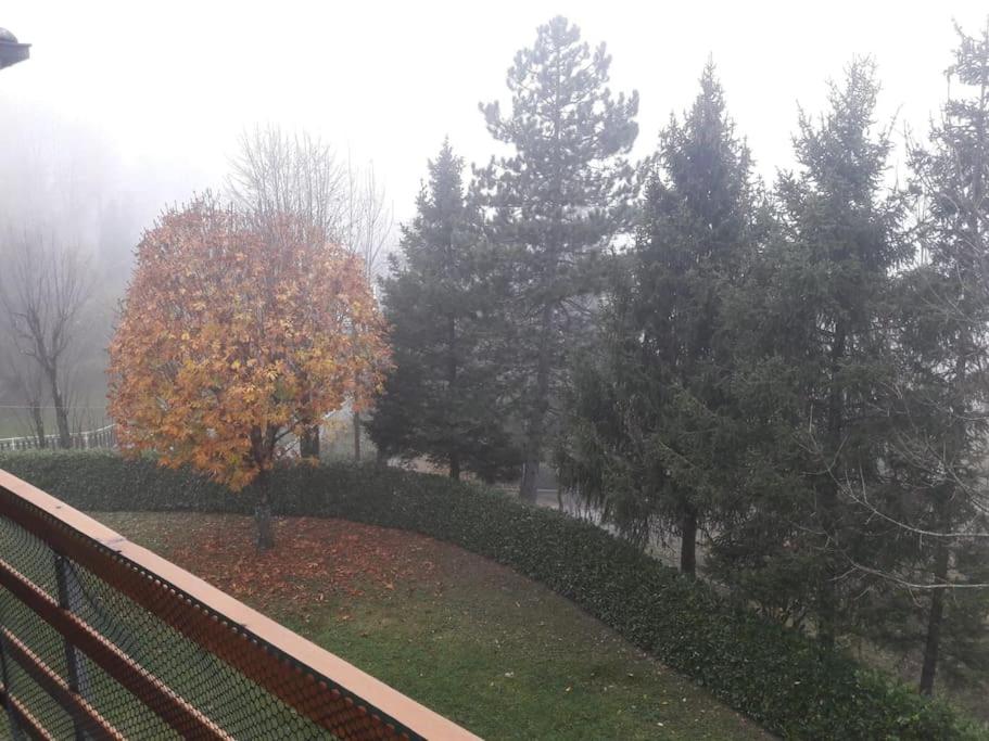 a park with trees and a fence and a tree at Rilassati al Corno alle Scale in Vidiciatico