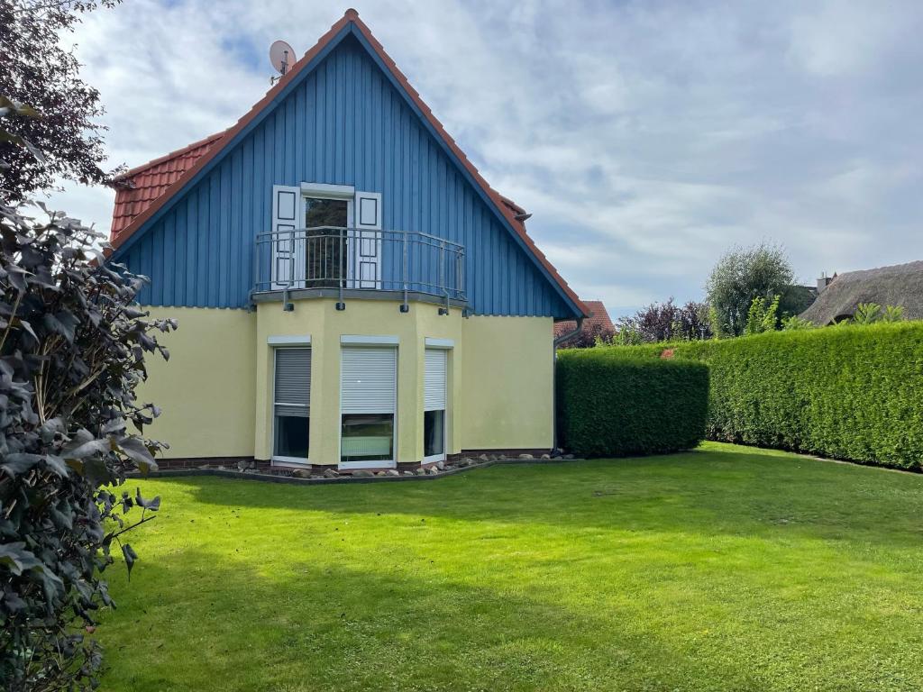 a blue and yellow house with a green yard at Lee in Zingst