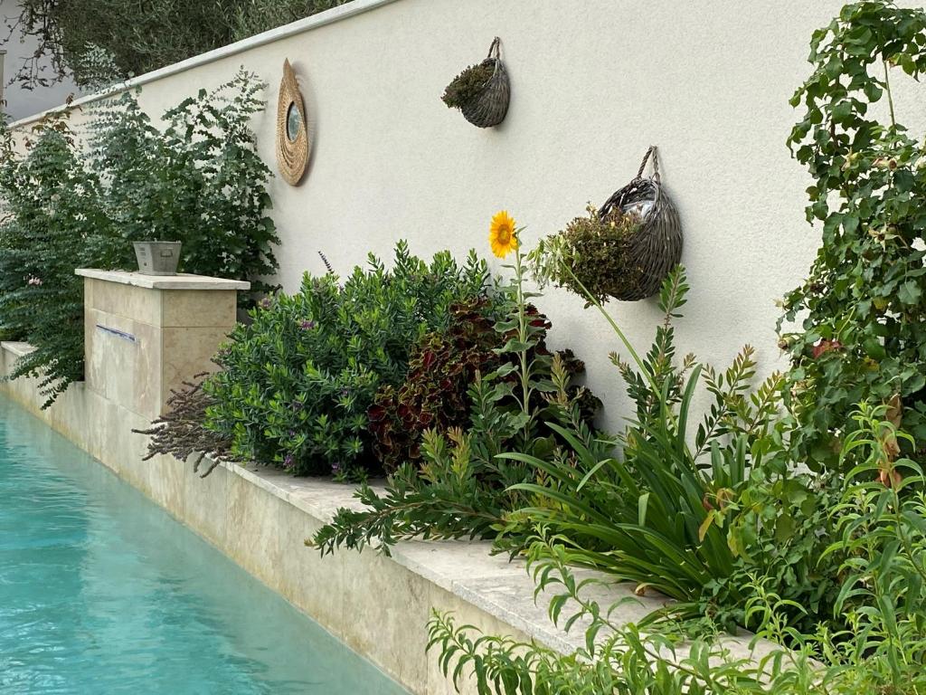 Les Logis de Cocagne - 15