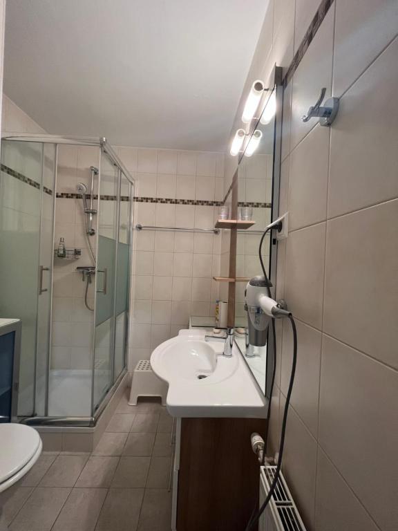 Koupelna v ubytování Kärnten Ossiacher See Apartment zwei Zimmer Ferienwohnung direkter Seezugang Strand beheizte Schwimmhalle