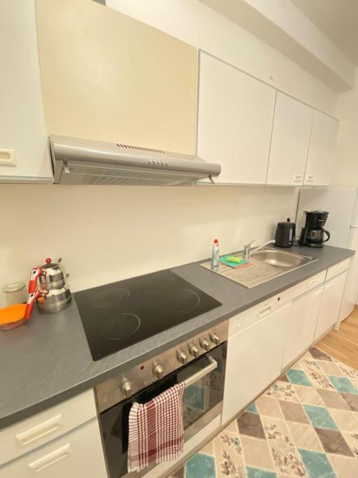 Kuchyň nebo kuchyňský kout v ubytování Family-friendly House in Vienna's Suburbs!