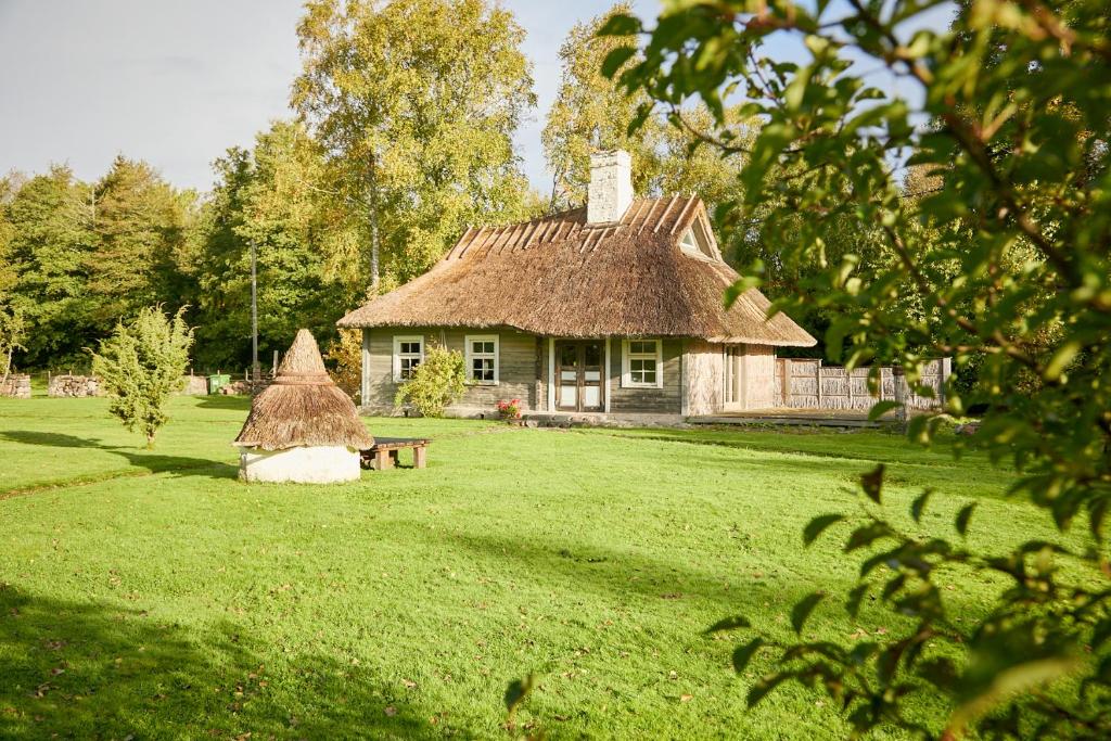 Zahrada ubytování Wonderful cozy cottage with a view of Sheep