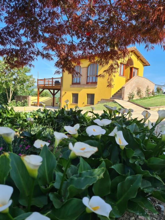 uma casa amarela com flores brancas à frente em Villa Scarialetto nel Parco Naturale di Monte Cucco em Sigillo