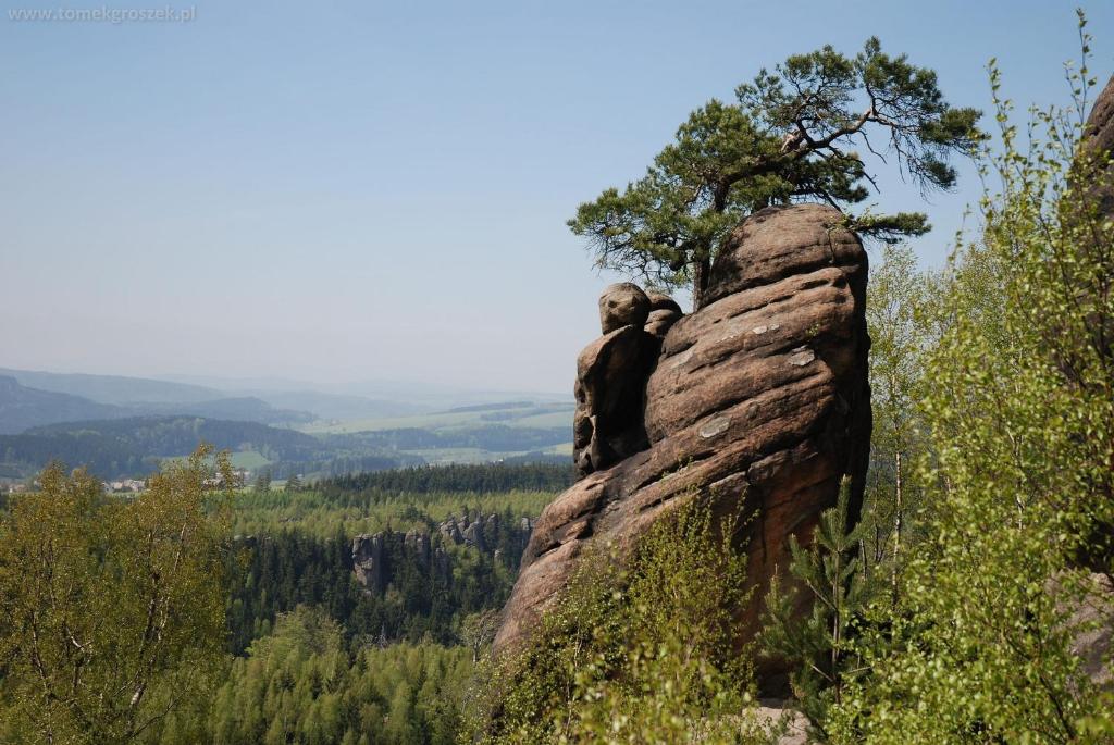 Příroda nedaleko chaty