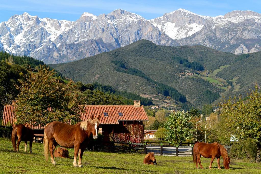 grupa koni pasących się na polu z górami w obiekcie Hotel-Posada La Casa de Frama w mieście Frama
