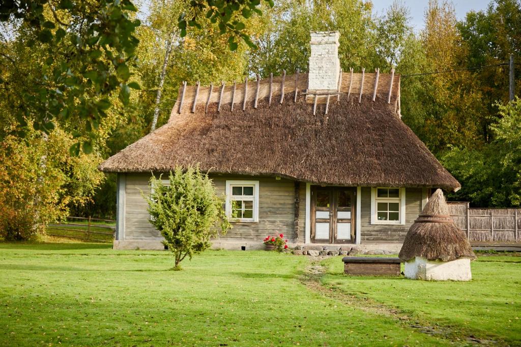 Zahrada ubytování Wonderful cozy cottage with a view of Sheep