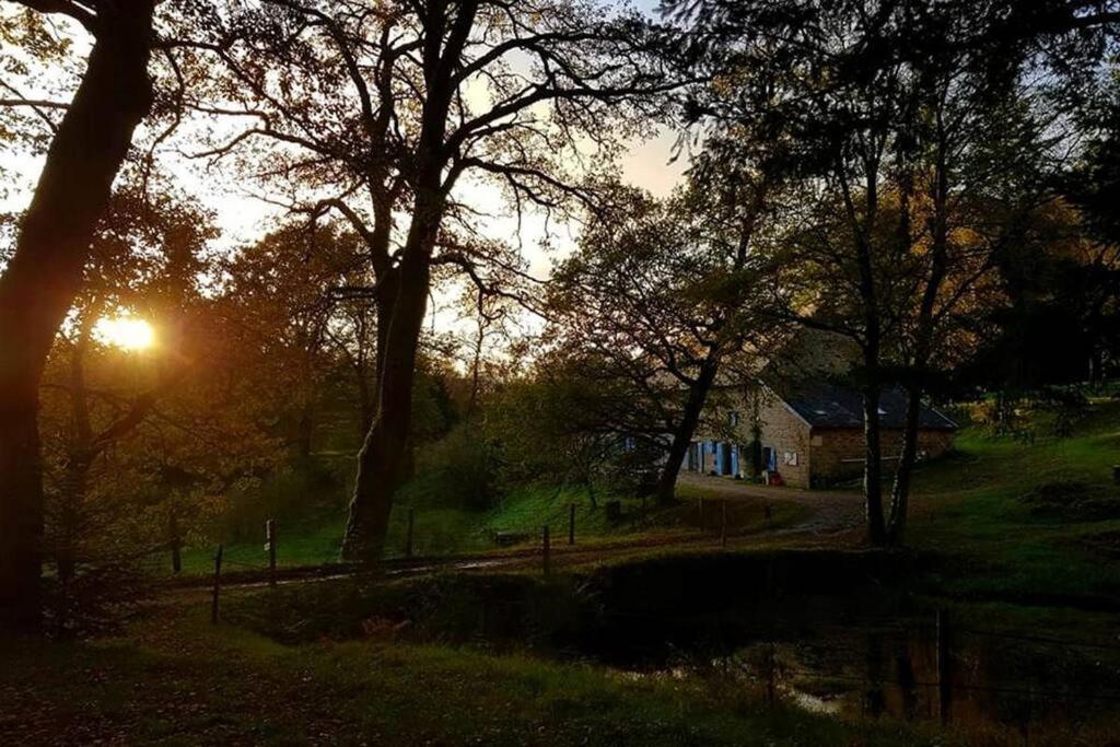 una casa en un campo con el sol brillando entre los árboles en gîte le Ranch de Vassiviére en Royère-de-Vassivière