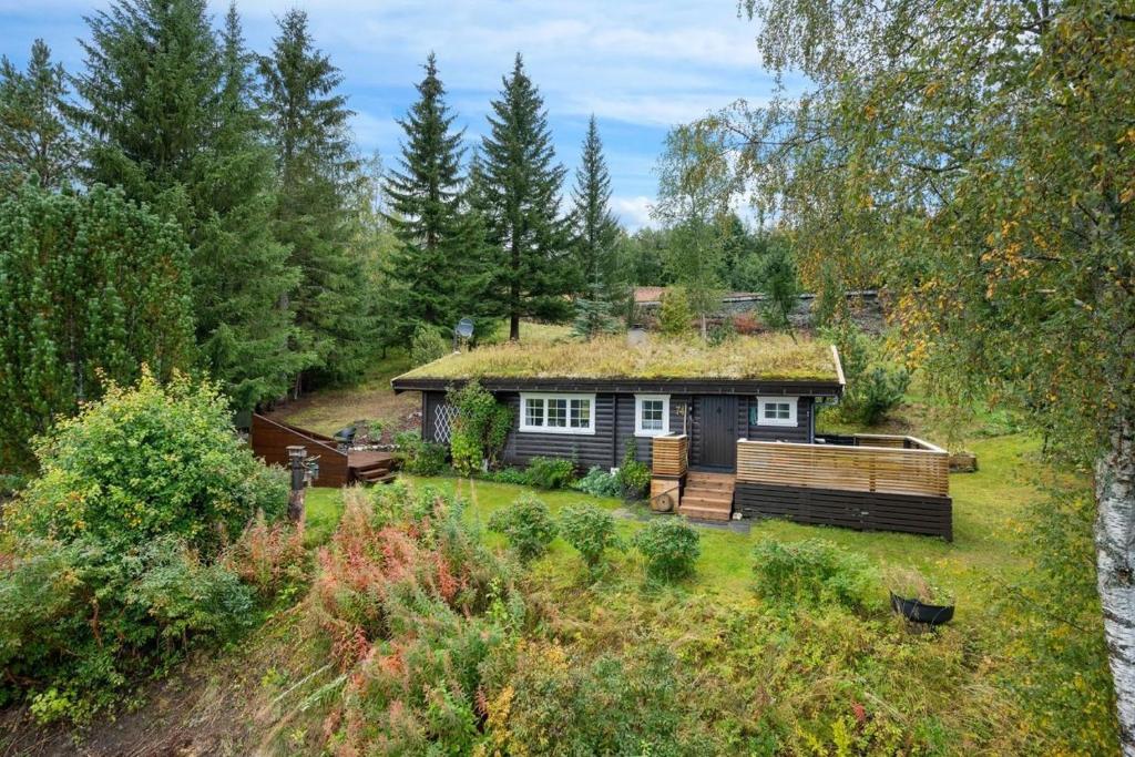 a house with a grass roof with a garden at Gaulabua - cozy cabin by the river Gaula 