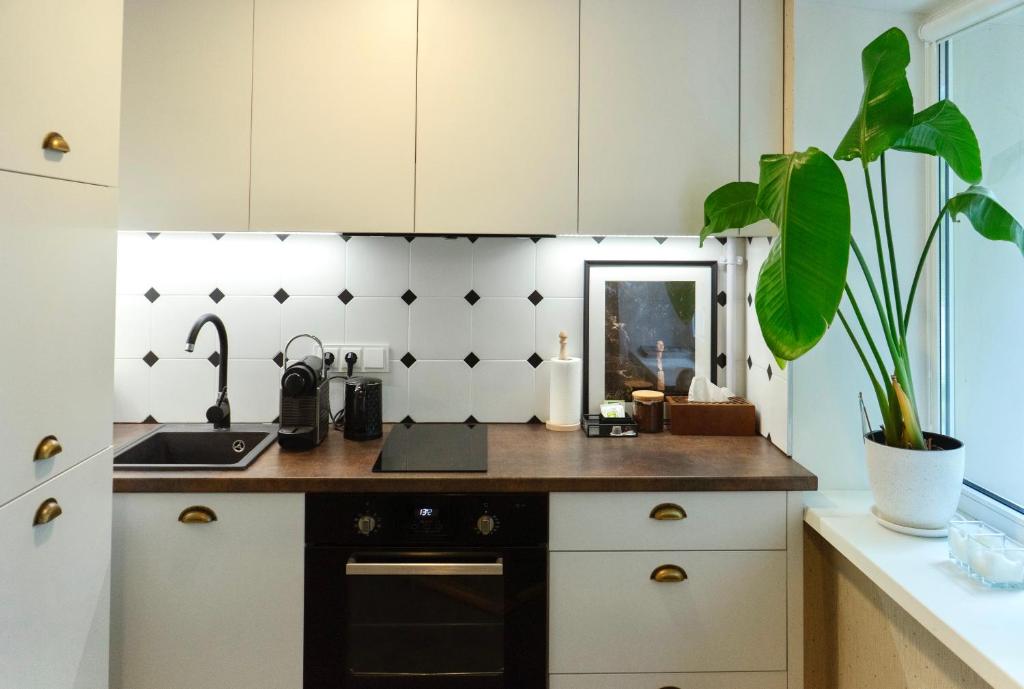 uma cozinha com um lavatório e um fogão forno superior em Petite City Centre Apartment em Šiauliai