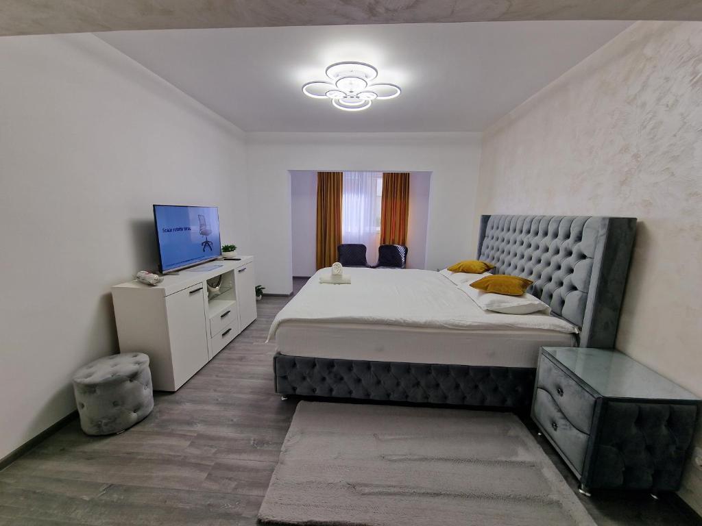 a bedroom with a large bed and a television at Apartament AlyMit Băile Herculane in Băile Herculane