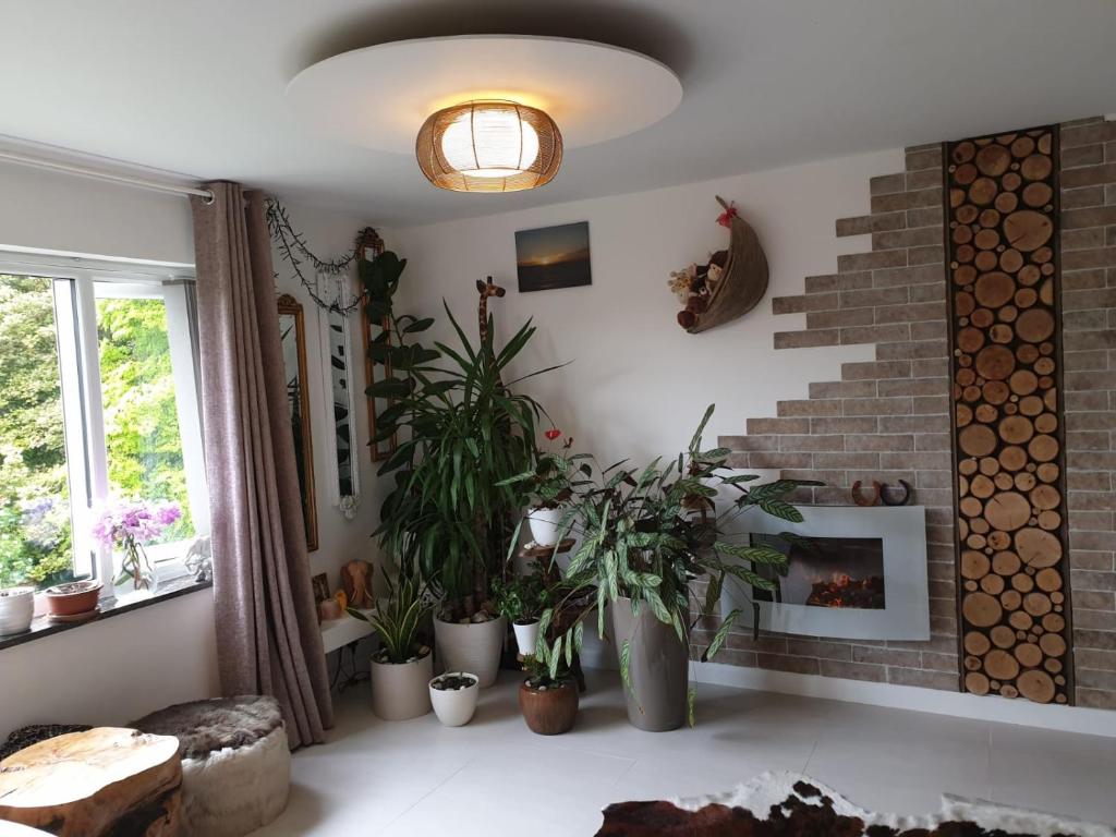 uma sala de estar com vasos de plantas e uma lareira em Beautiful Apartment in High Wycombe em Buckinghamshire