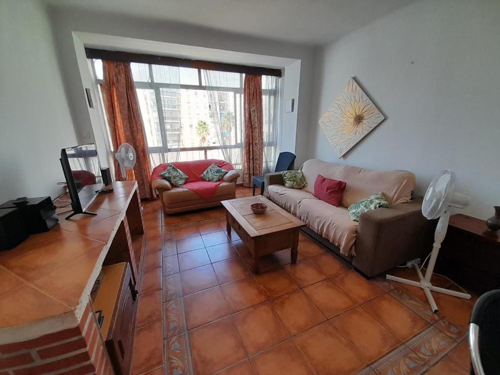 Orchid of Estepona, Estepona Updated 2024 Prices