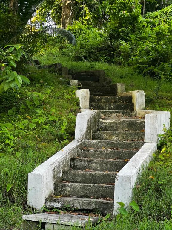 a set of stone stairs in a grassy field at Bhūma in Havelock Island