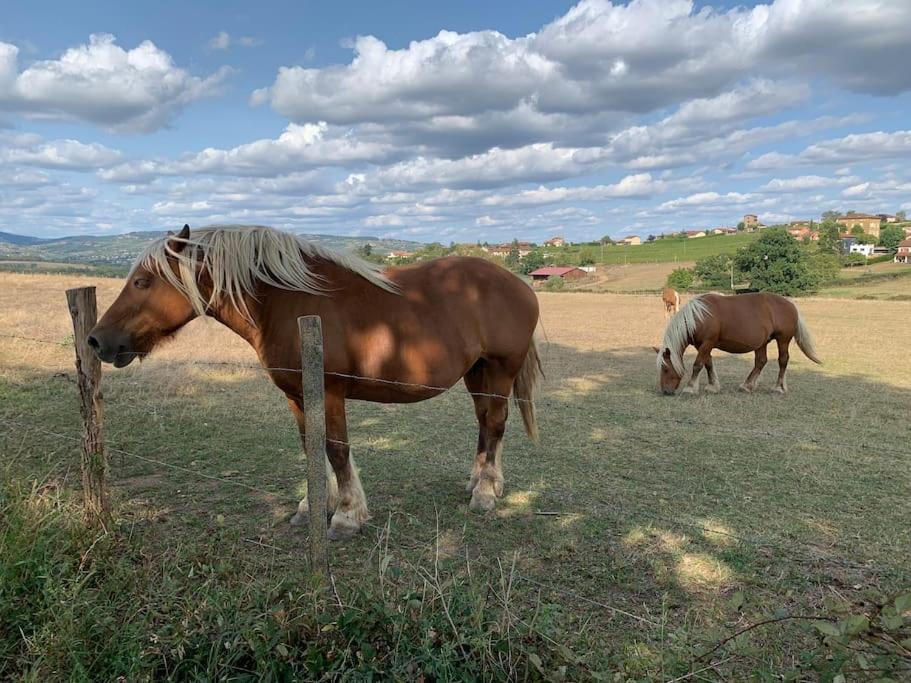 Zvířata v prázdninového domu nebo okolí
