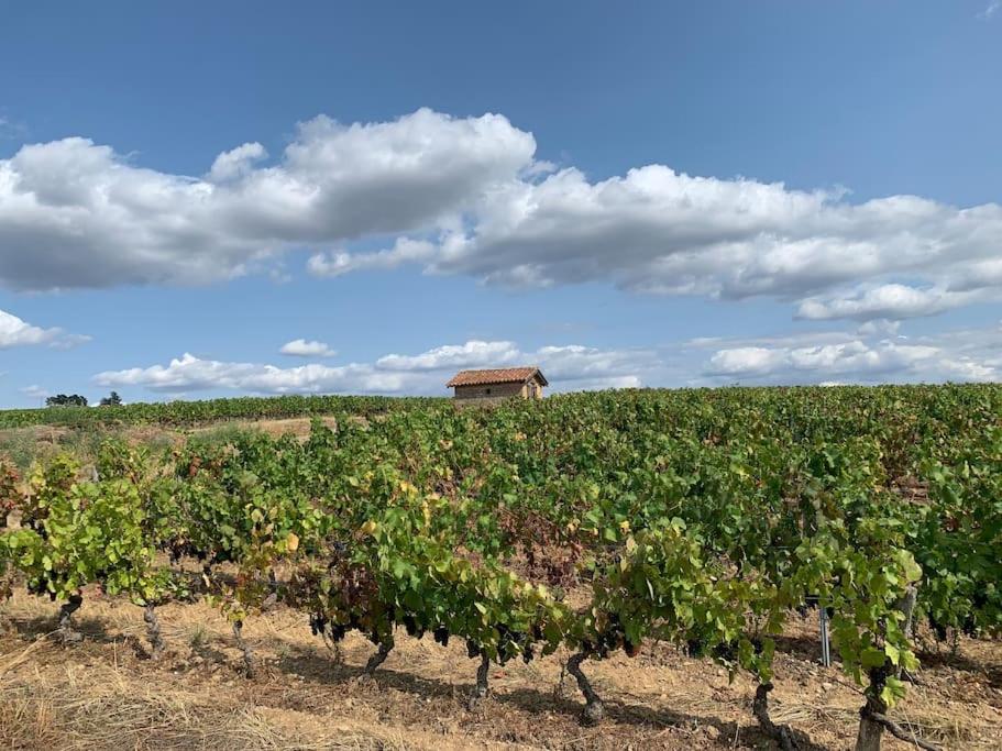 Fotografie z fotogalerie ubytování Les Sarments du Beaujolais, campagne proche Lyon v destinaci Sarcey