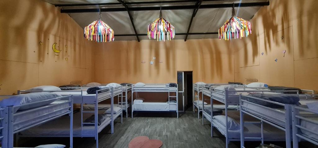 Pokój z rzędami łóżek piętrowych i żyrandoli w obiekcie Dajti Paradise Hostel 