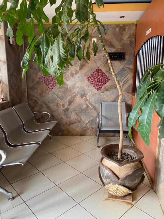 a plant in a pot in a room with a chair at Penuel Plaza Hotel in Kimana