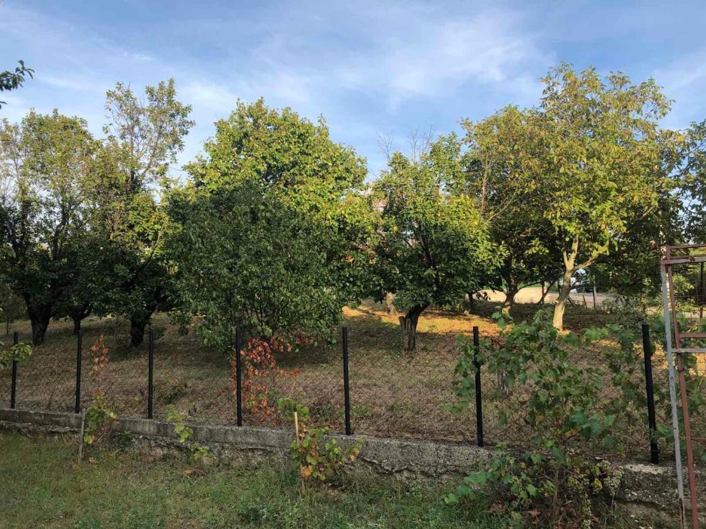 a fence in front of trees in a field at Ninkovic Apartman Free Parking in Kaluđerica