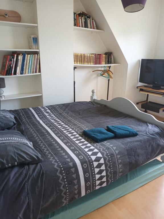 um quarto com uma cama com almofadas azuis em Charmante maison em Dinard
