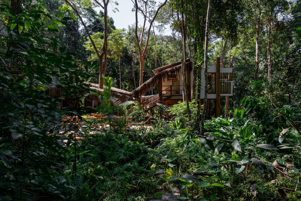a house in the middle of a forest at Vila Morena Altos de Itapororoca in Trancoso