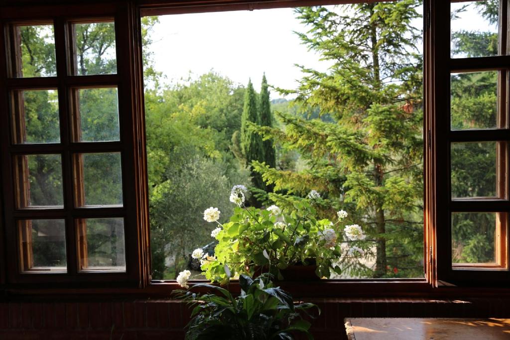 Zahrada ubytování Villa Francesca