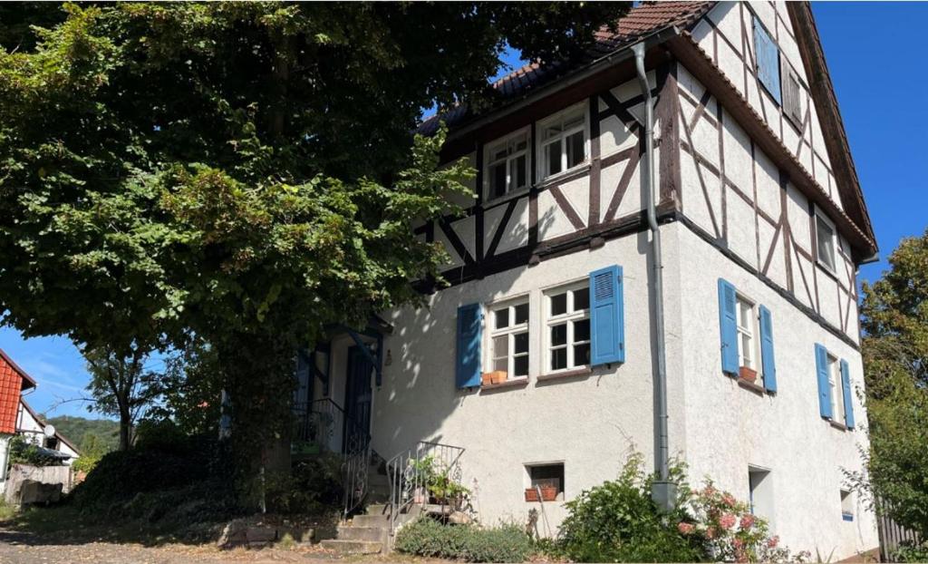 une maison blanche avec des fenêtres bleues et un arbre dans l'établissement Haus Winterlinde mit herrlich verzaubertem StaudenGarten, 